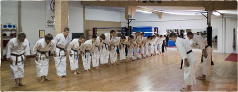 Dojo Rei Widescreen
